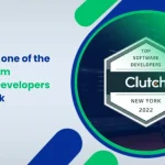 Clustox as one of the Best Custom Software Developers in New York