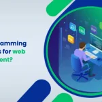 programming languages for web development_