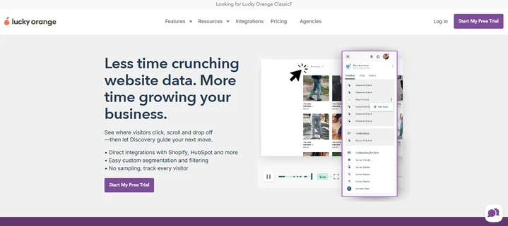 Alternative 08 Lucky Orange