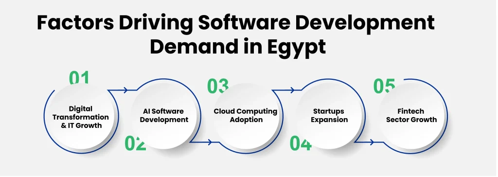 What are the Main Factors Driving Software Development Demand in Egypt