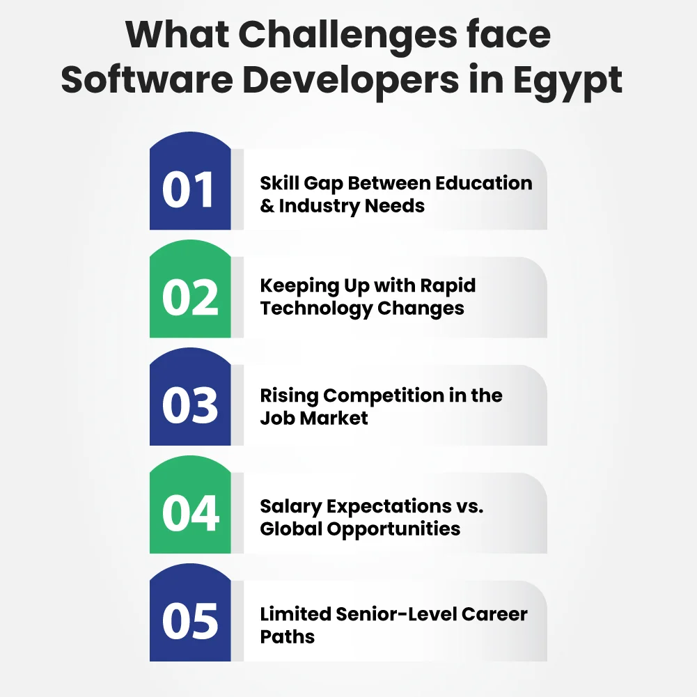 What Challenges Do Software Developers in Egypt Face